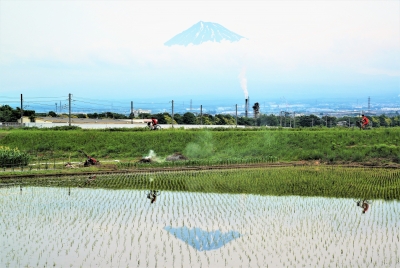 photo?id=3101&suffix=m