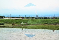 photo?id=3101&suffix=t