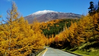 photo?id=3103&suffix=t