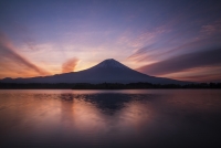 photo?id=3104&suffix=t