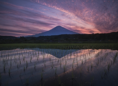 photo?id=3105&suffix=m