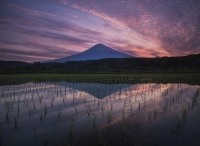 photo?id=3105&suffix=t