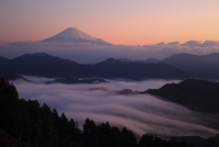 photo?id=3106&suffix=t