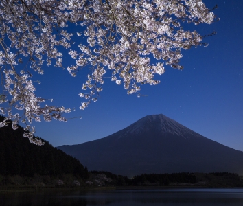 photo?id=3107&suffix=m