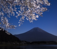 photo?id=3107&suffix=t
