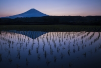 photo?id=3108&suffix=t
