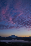 photo?id=3109&suffix=t