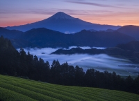 photo?id=3111&suffix=t