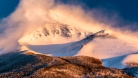 photo?id=3118&suffix=t
