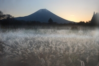 photo?id=3122&suffix=t