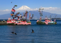 photo?id=3129&suffix=t
