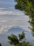 photo?id=3136&suffix=t