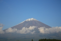 photo?id=3137&suffix=t