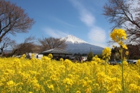 photo?id=3142&suffix=t