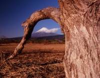 photo?id=3144&suffix=t