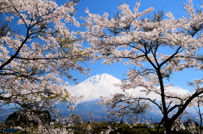 photo?id=3145&suffix=m