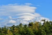 photo?id=3146&suffix=t