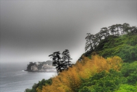 photo?id=3156&suffix=t