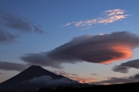 photo?id=3159&suffix=t