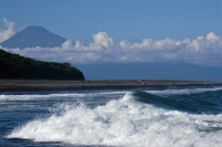 photo?id=3160&suffix=t