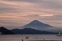 photo?id=3161&suffix=t