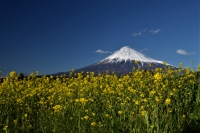 photo?id=3168&suffix=t