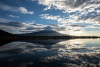 photo?id=3175&suffix=t