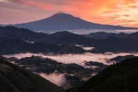 photo?id=3176&suffix=t