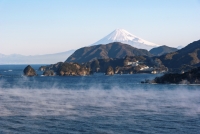 photo?id=3179&suffix=t