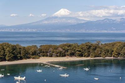 photo?id=3180&suffix=m