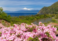 photo?id=3182&suffix=t
