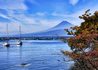 photo?id=3191&suffix=t