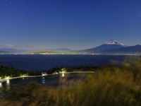 photo?id=3192&suffix=t