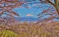 photo?id=3193&suffix=t