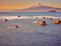 photo?id=3195&suffix=t