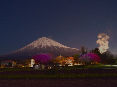 photo?id=3197&suffix=m
