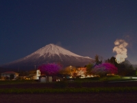 photo?id=3197&suffix=t