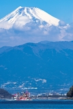 photo?id=3199&suffix=t