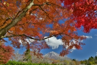 photo?id=3201&suffix=t