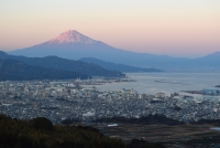photo?id=3203&suffix=t