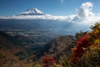 photo?id=3207&suffix=t