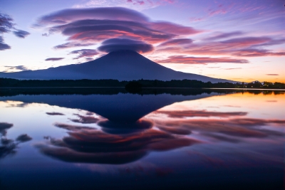 photo?id=3209&suffix=m