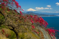 photo?id=3212&suffix=t