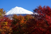 photo?id=3214&suffix=t