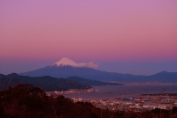photo?id=3217&suffix=t