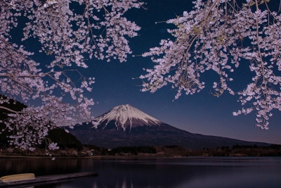 photo?id=3220&suffix=m