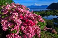 photo?id=3221&suffix=t
