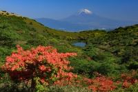 photo?id=3224&suffix=t