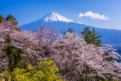 photo?id=3231&suffix=m