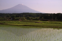 photo?id=3234&suffix=t